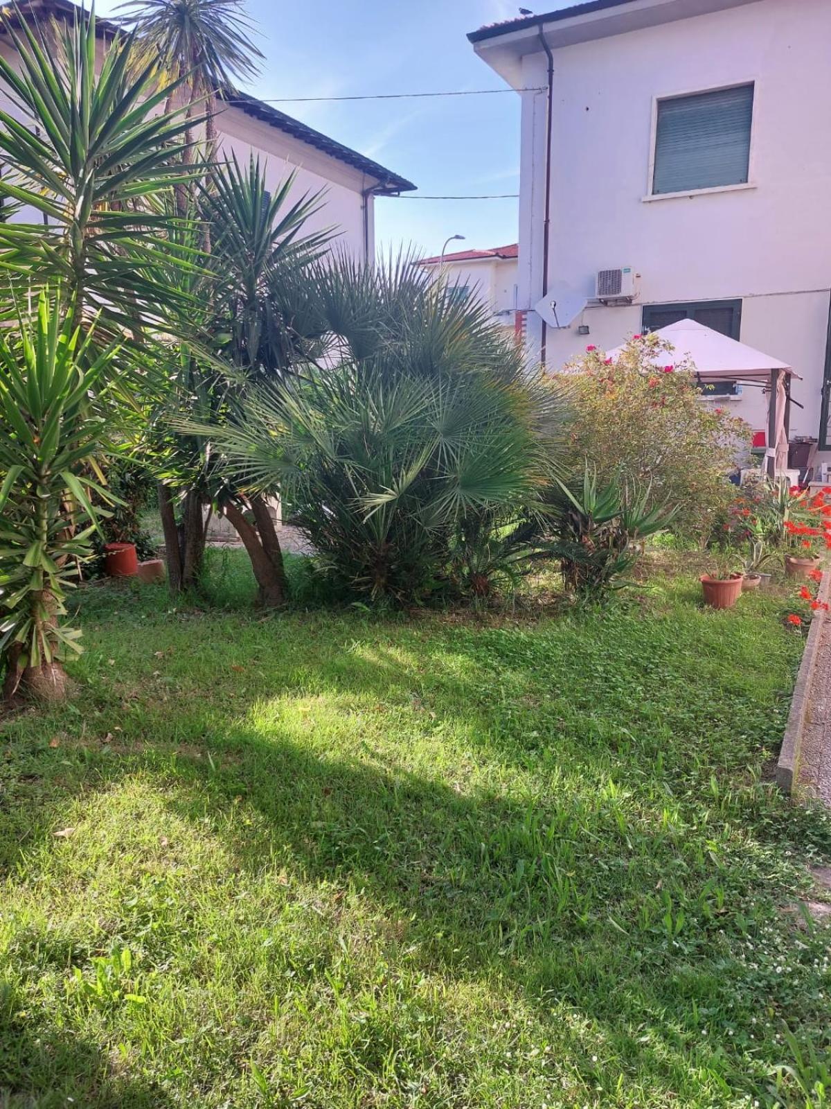 Villa Mehari Πίζα Εξωτερικό φωτογραφία
