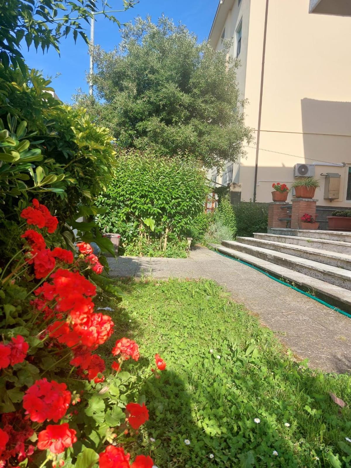 Villa Mehari Πίζα Εξωτερικό φωτογραφία